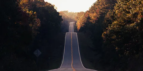 Agile Transformation Roadmap: 5 models & their similarities