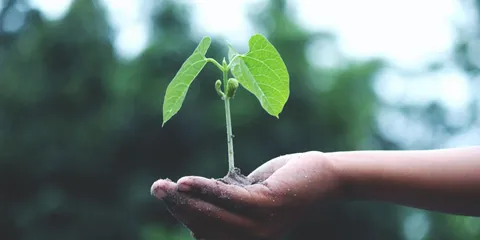 In a nutshell: what is change management?