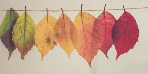 3 unknown & interactive scrum retrospective ideas